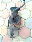 Coffee Bean Grinder  BID TO WIN!!!!